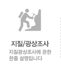 지질/광상조사
